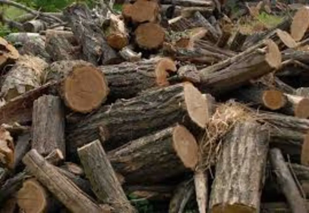 Cum utilizăm corect fierăstrăul pendular de mână