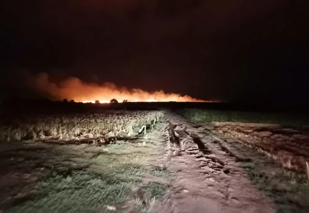 Zeci de hectare de cereale, distruse de un incendiu în Teleorman