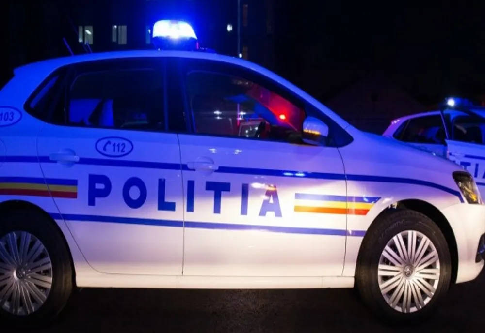 Un bărbat din Teleorman, reţinut după ce a condus cu un permis fals