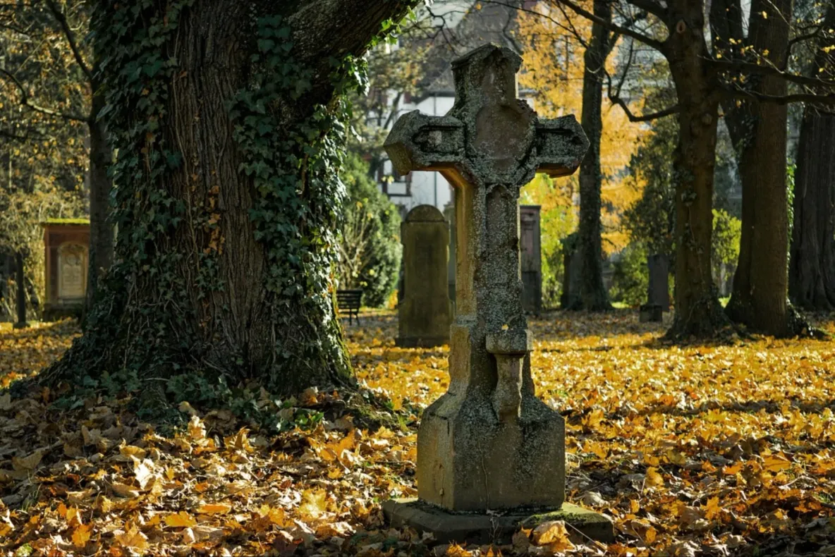 Care e explicația pentru sacii cu oase umane descoperiți într-un cimitir din Slatina