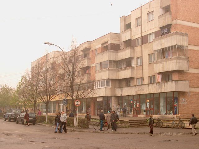 La Zimnicea se cumpără panseluțe de 4.500 de lei