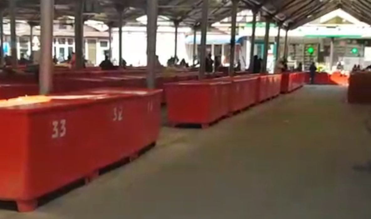 Autoritățile alexăndrene predau Piața Centrală la CNI