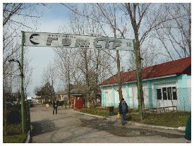 Directorul fermei lui Valentin Dragnea ar putea face 7 ani de închisoare