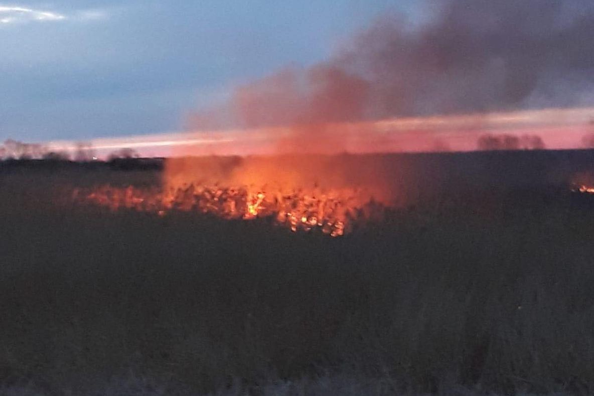 Crește numărul incendiilor de vegetație uscată