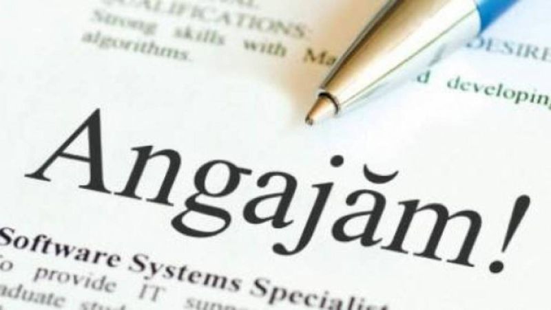 Cine vrea să se angajeze, găseşte locuri de muncă şi în Teleorman