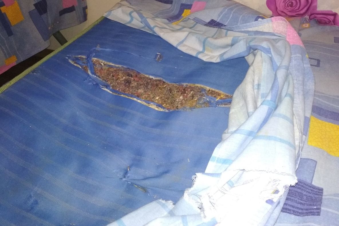 Elevii eminenți din țară, primiți cu gândaci și lenjerii rupte la Turnu Măgurele