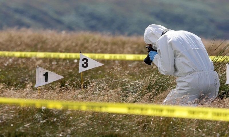 Descoperire macabră într-o viță de vie: un CADAVRU de femeie aflat în descompunere