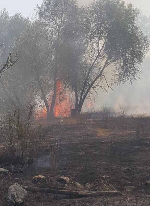 Teleormăneni, prinși de poliție în timp ce-și incendiau miriștile