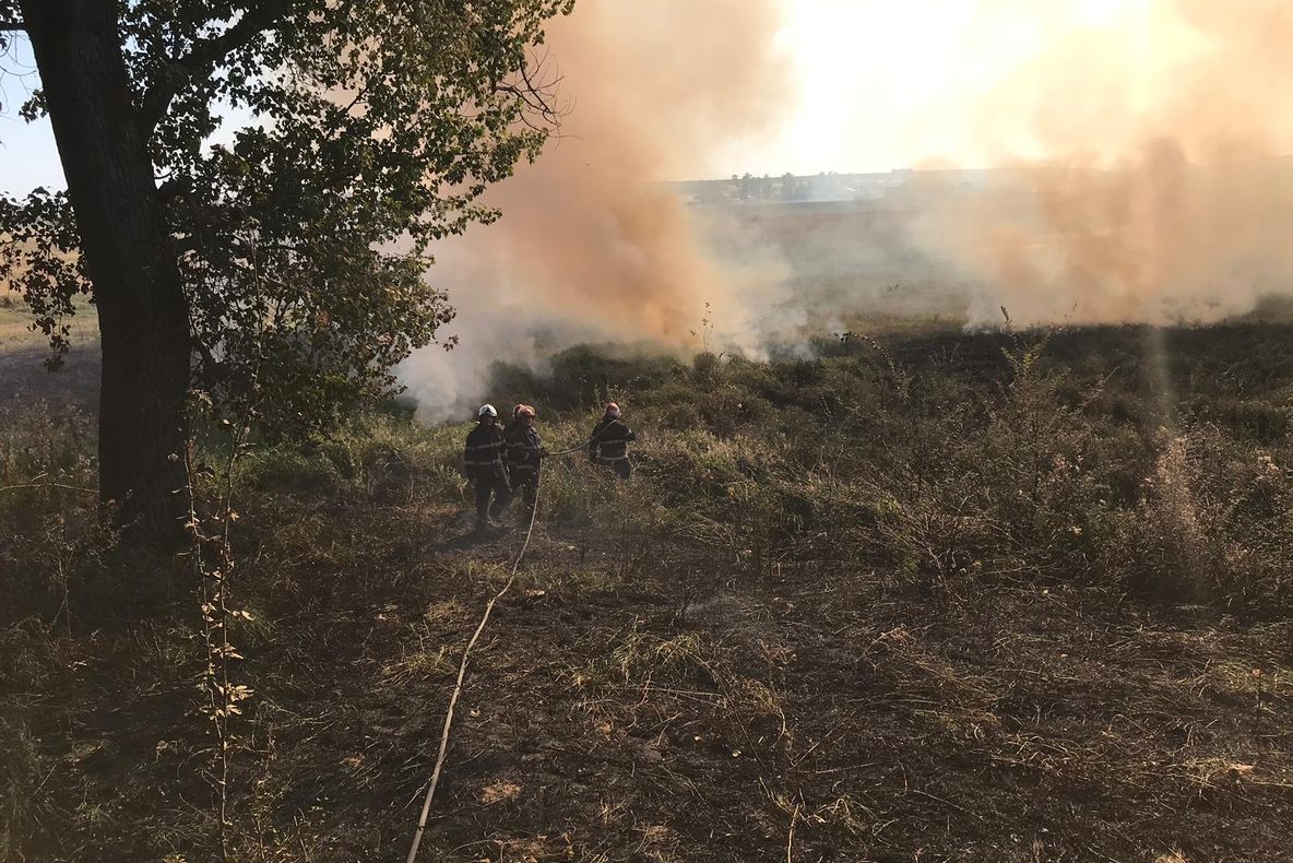 Pădurea localității Țigănești, în flăcări
