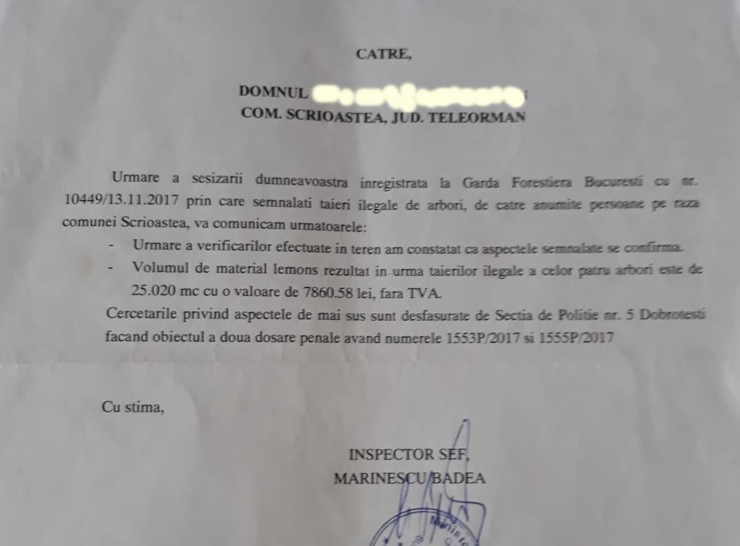 Un primar din Teleorman e acuzat că fură lemne din pădurea publică