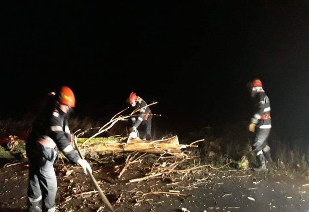 Copaci cazuti peste masini si peste firele de electricitate