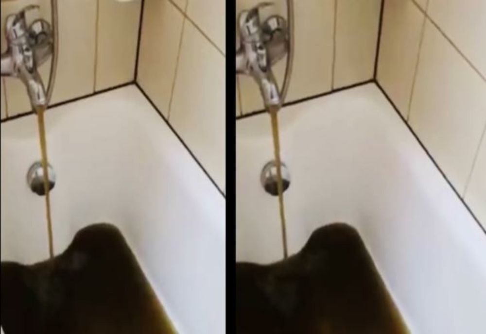 Alexandria, orașul "servit" cu NOROI la robinet. Veronica Mitran: Calitatea apei este extrem de proastă, se poate vedea din reclamațiile cetățenilor