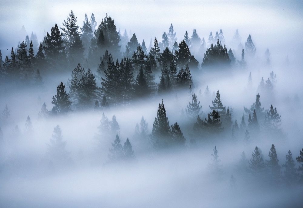 Atenție! Ceață pe mai multe drumuri din țară