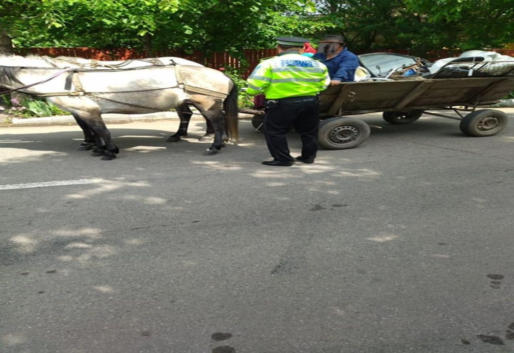 Alexandria: Amenzi pentru căruţaşii care transportă deşeuri