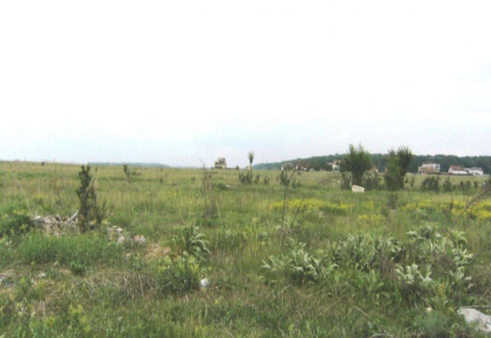 CULISELE STATULUI PARALEL. Oamenii statului paralel, paznici la retrocedări