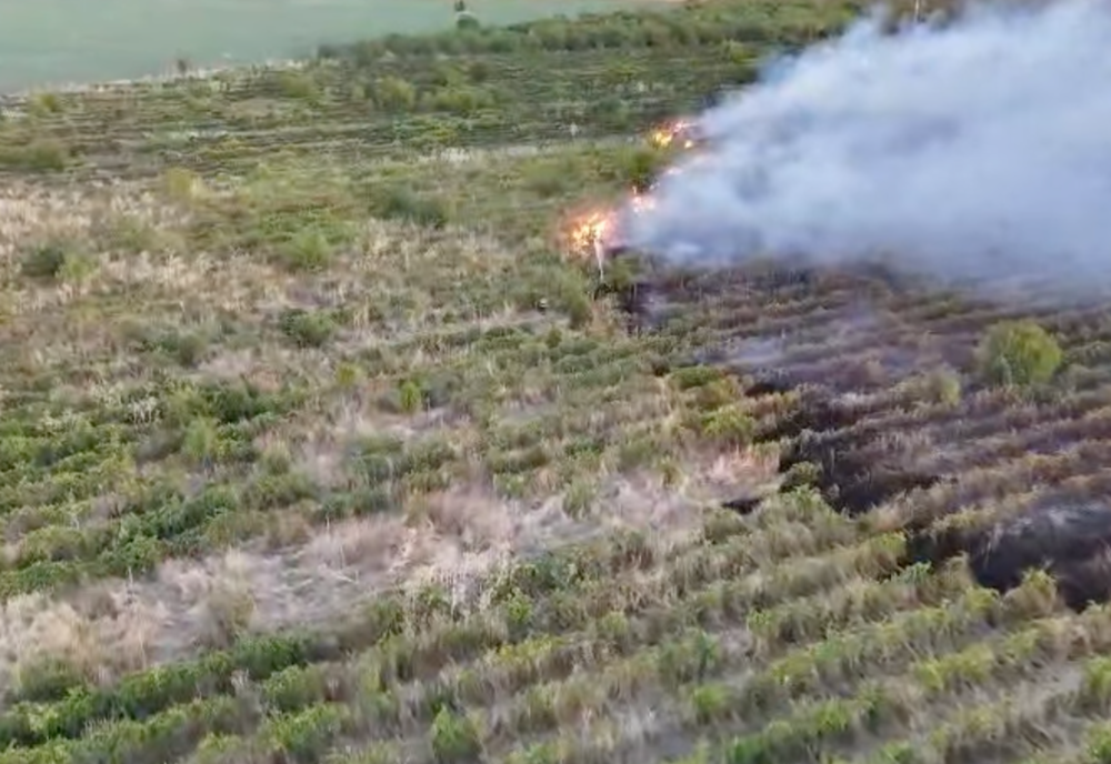 TELEORMAN: INCENDIU DE VEGETAȚIE LA PIETROȘANI. ZECI DE HECTARE AFECTATE 
