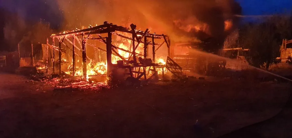 FOC
