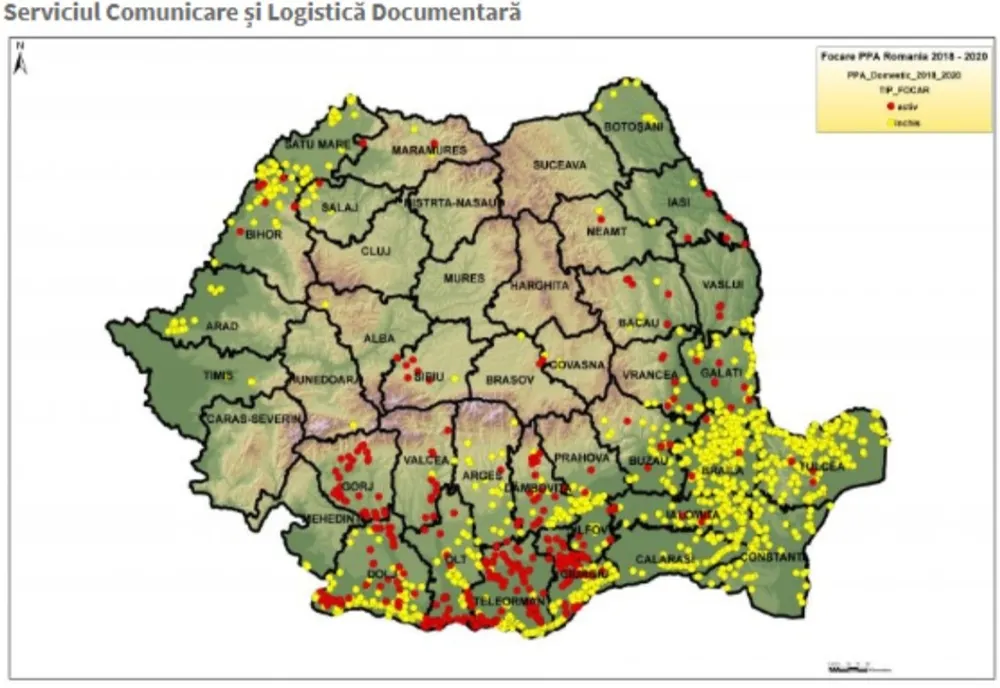 Pesta porcină africană continuă să facă ravagii în sudul țării. Harta virusului publicată de ANSVSA