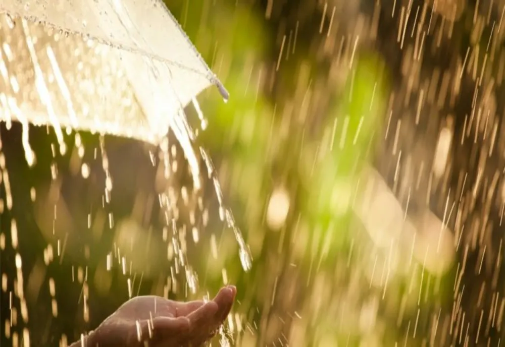 VREMEA 31 IULIE. PLOI LOCALE ȘI TEMPERATURI APROPIATE DE NORMALUL PERIOADEI 