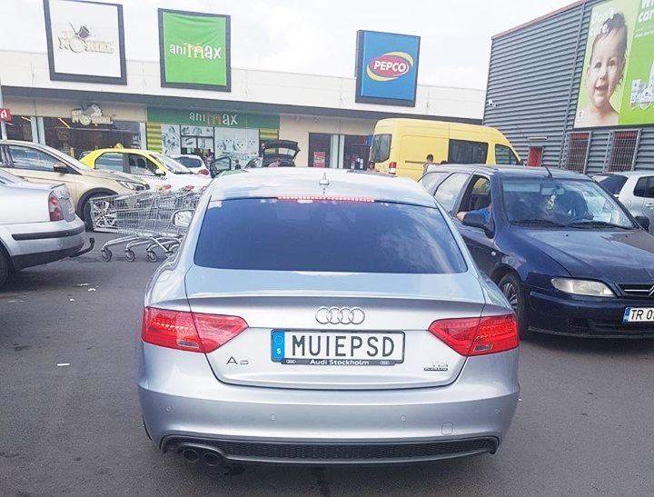 37995376_1779941422053558_5122249615789260800_n