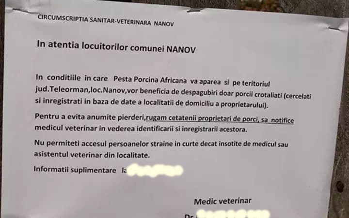 41165862_2065230066823302_7758350643420463104_n