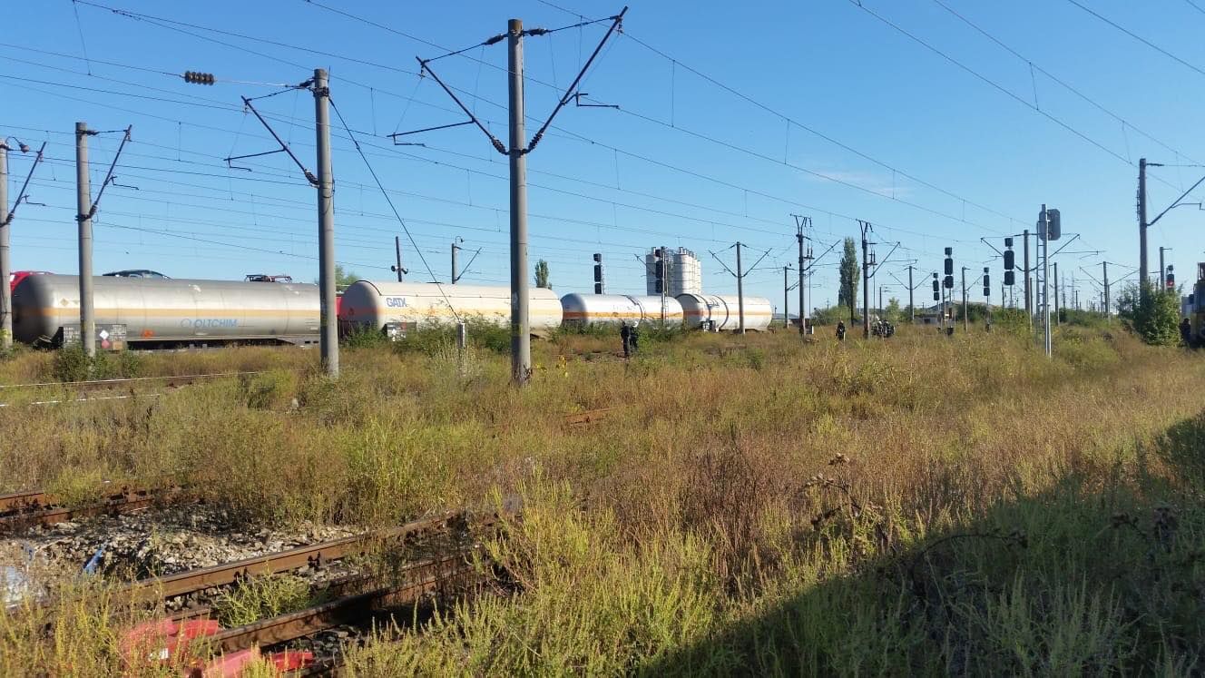 42528410_456847098156017_5063762606578204672_n