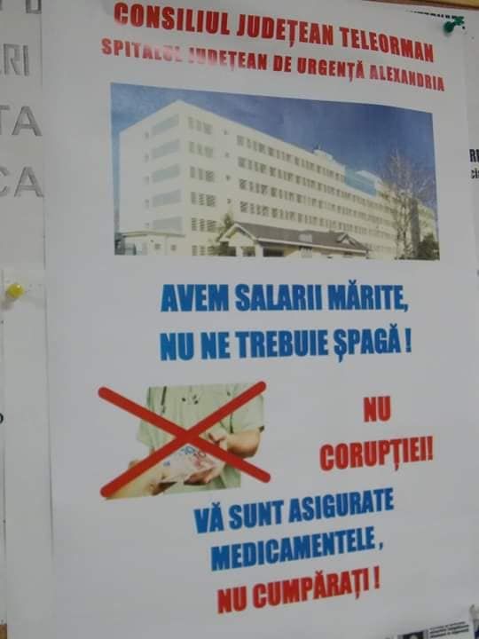 49841051_10156081929493946_7404432255759679488_n