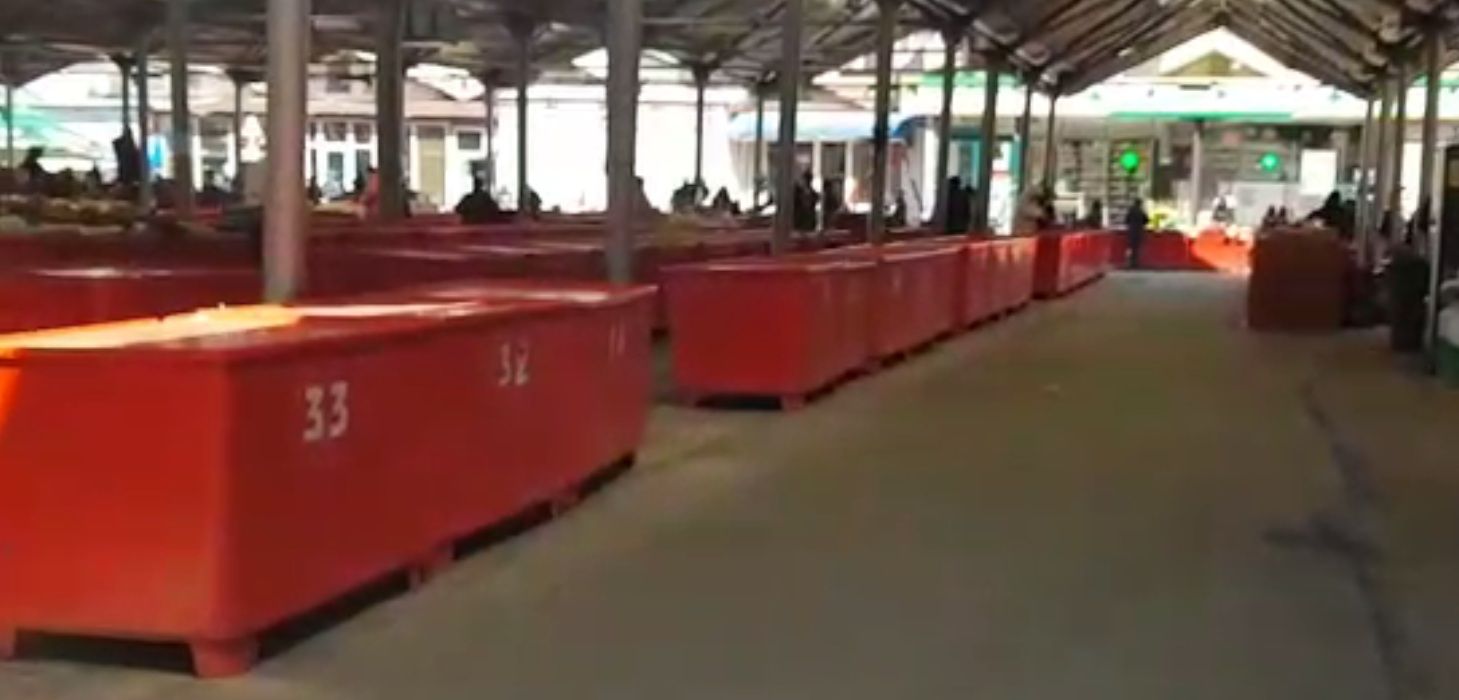 piata-centrala-din-Alexandria