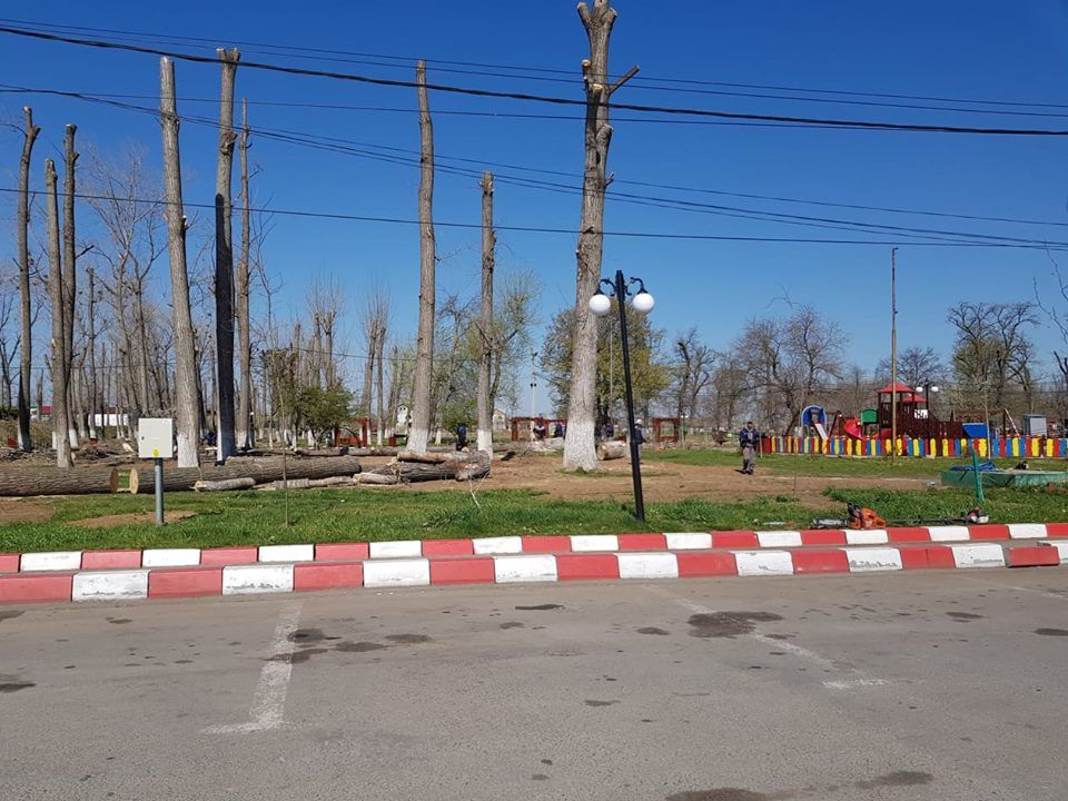 54436737_2794508353894471_4505610367849725952_n