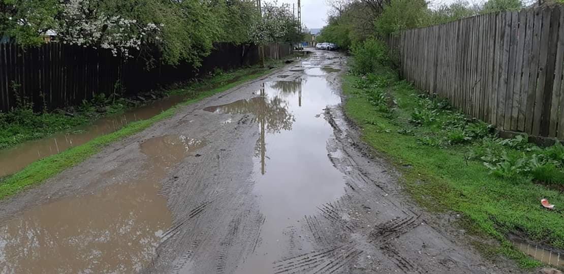 57106734_322674375024822_3194498809639993344_n