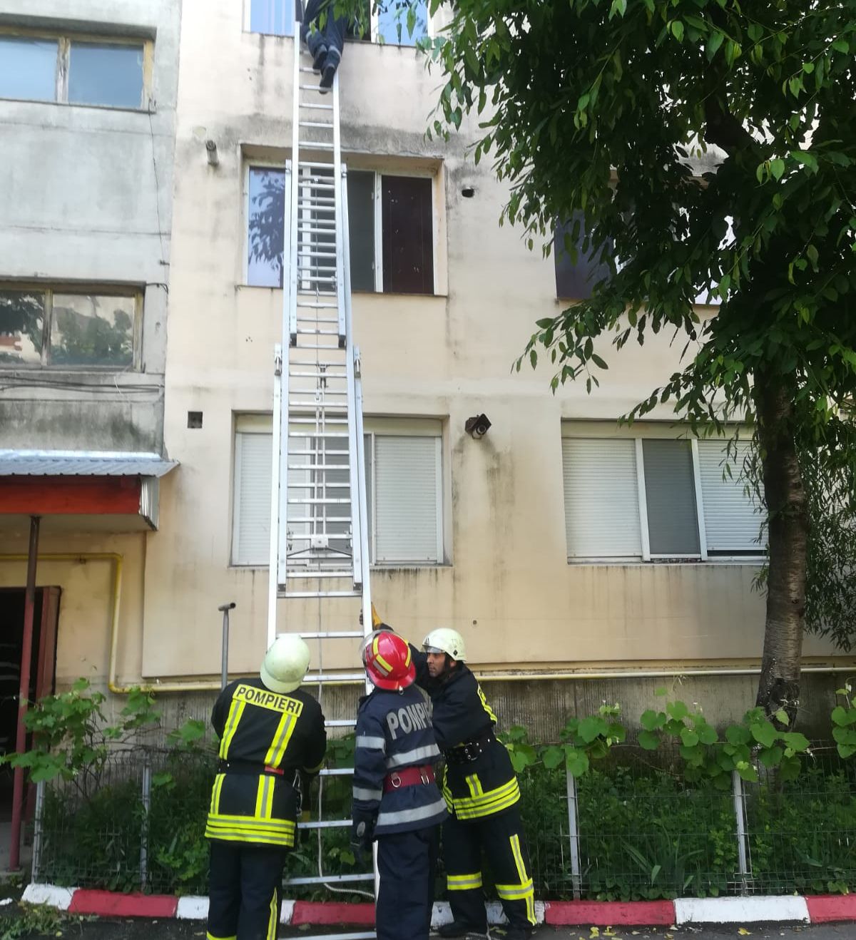 5a24e2ef-fdad-4a0e-b7a7-61bcde01d4ec