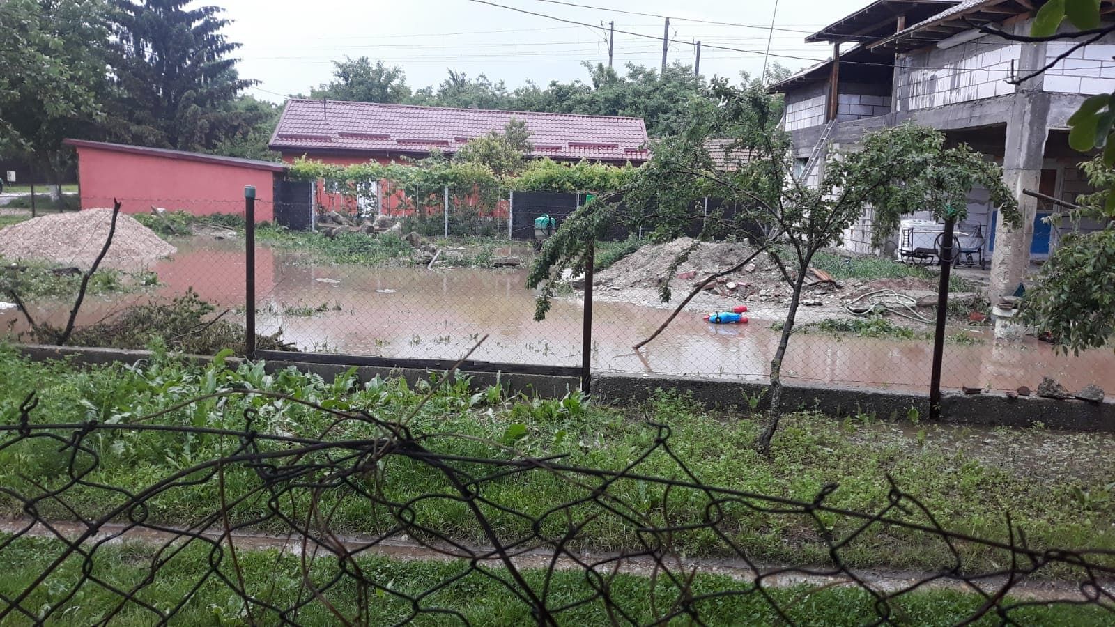 61763470_445295892924788_2810046099312607232_n