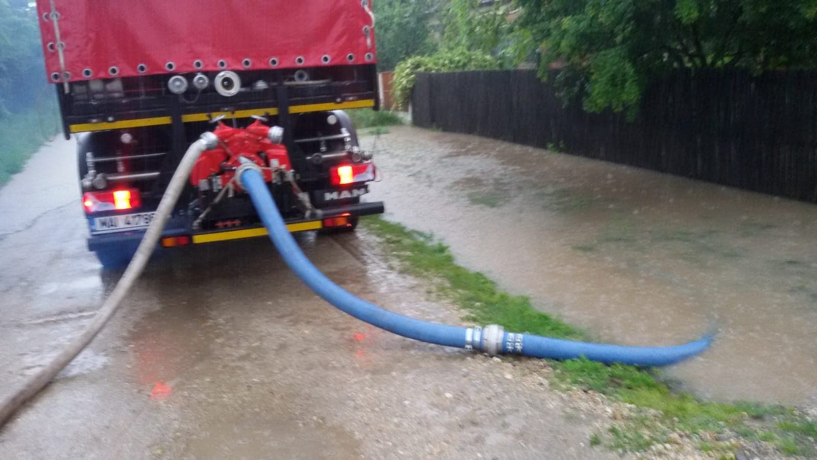 62047771_454228898644675_5493054522072760320_n