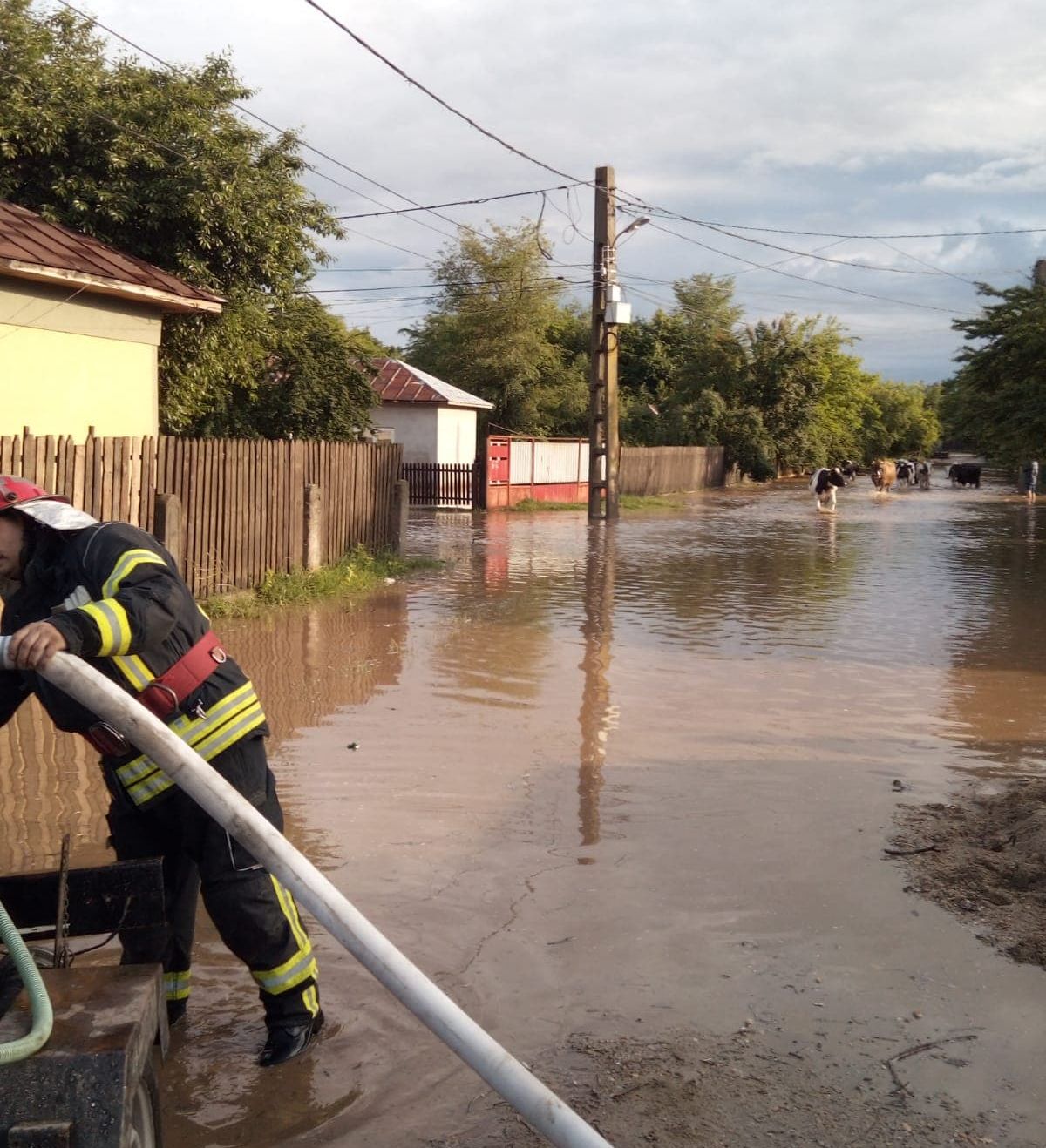 62129320_2803841099632348_4682777115974696960_n