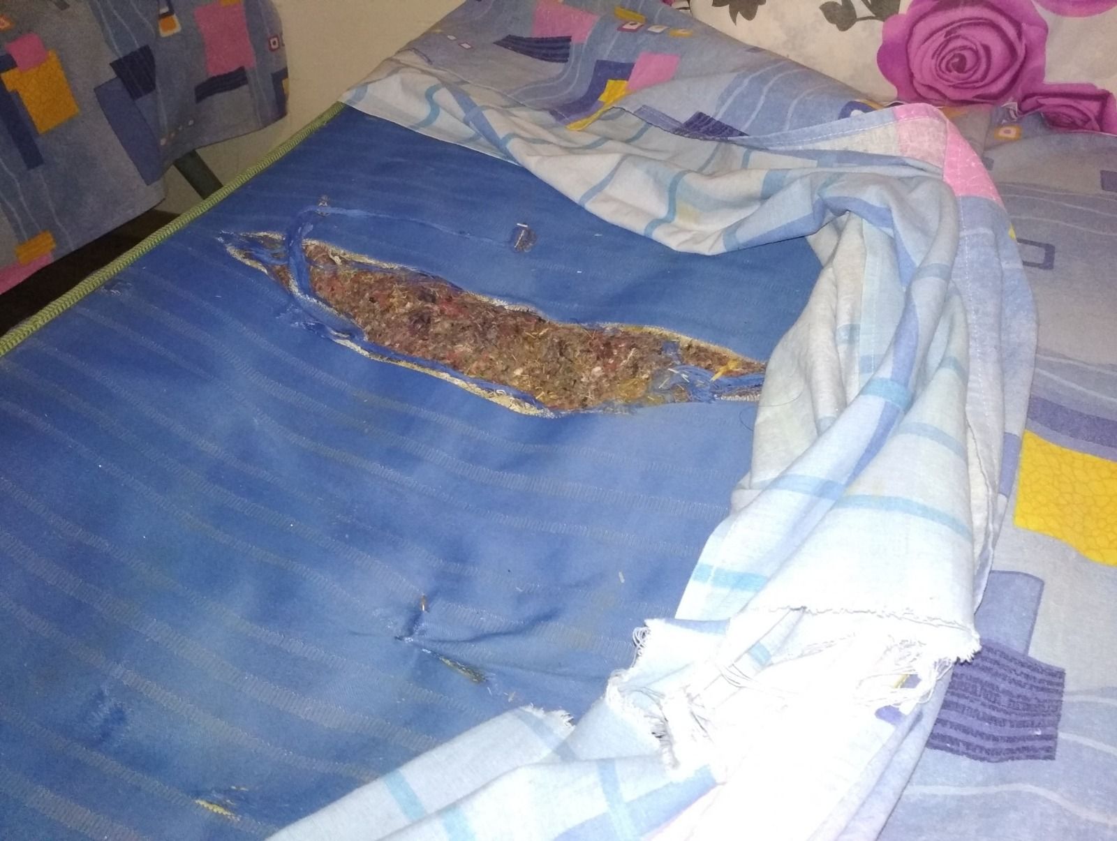 d93d97a8-bc09-48fb-8765-d158d085b906