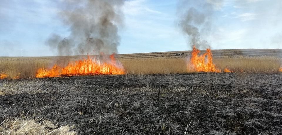 68769856_2485493718353017_5135106003389382656_n