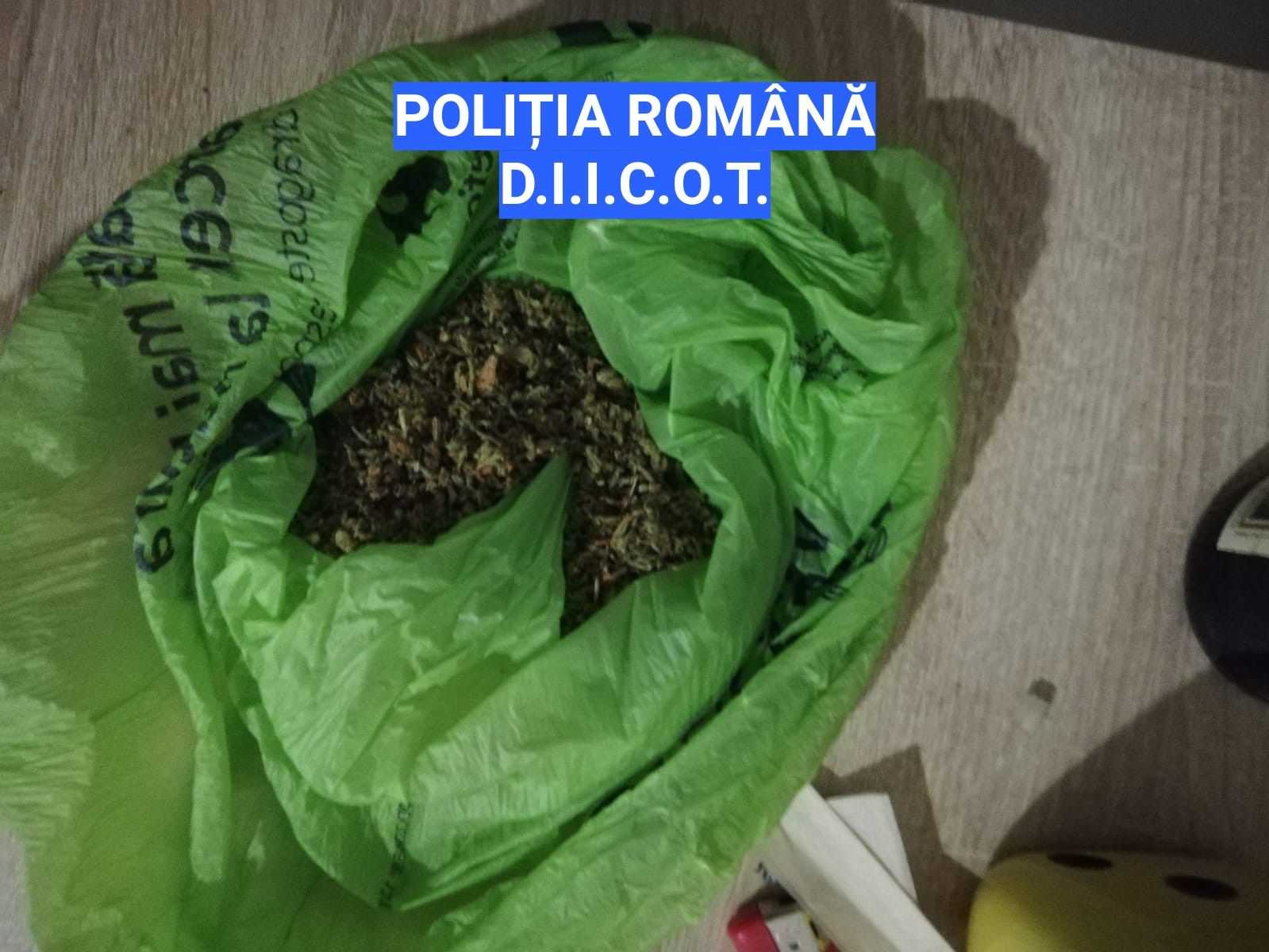 ca034698-e309-4784-8808-3dbd488ab0e9