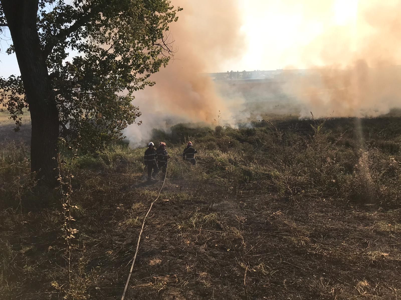 f0d9ff89-0f98-4239-adc5-08e3b7bbaf2d