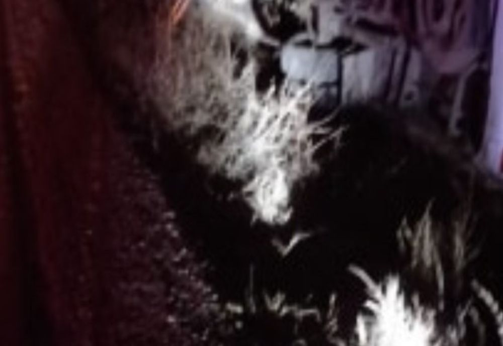 Un microbuz de transport persoane s-a răsturnat în Teleorman! O persoană a decedat, iar alte șapte sunt rănite