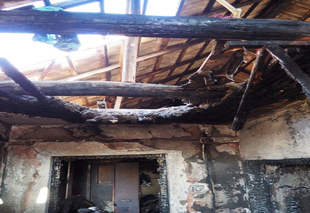 O întreagă familie din localitatea Plosca a fost salvată azi-noapte de Chira, o cățelușă credincioasă