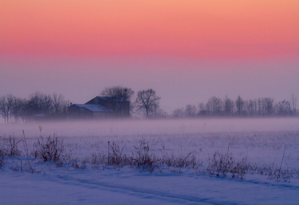 Avertizări nowcasting Cod galben de ceaţă 