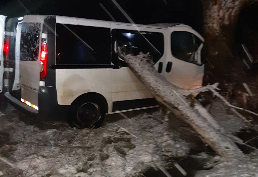 Accident grav în Teleorman: Un bărbat a intrat cu vehiculul într-un pom de marginea drumului