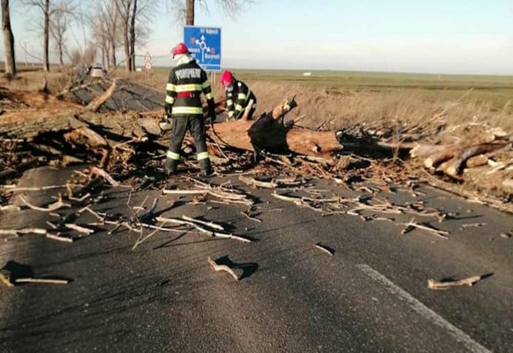 Copaci doborâţi şi acoperiş luat de vânt, în Teleorman. BILANŢUL intervenţiilor de noaptea trecută