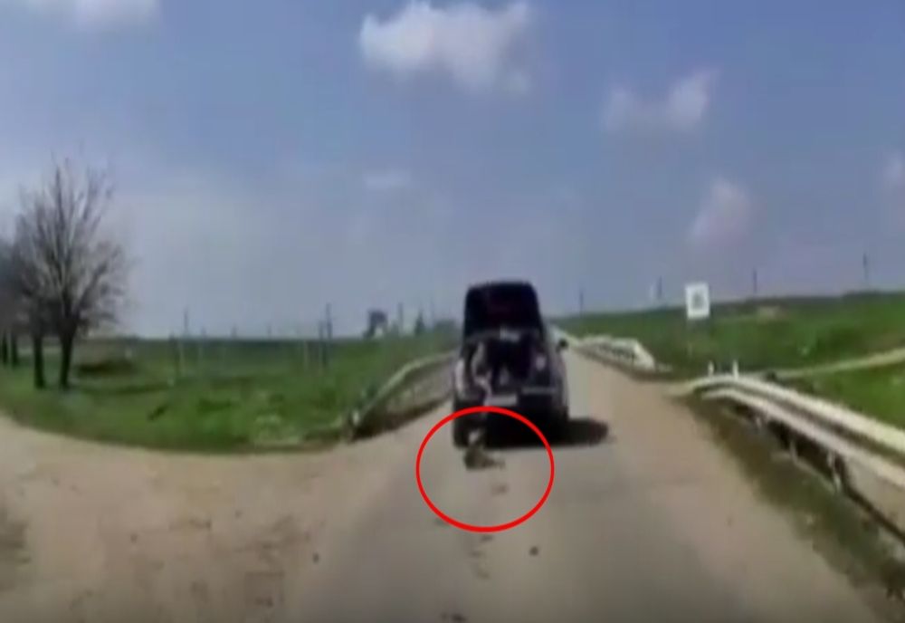Un câine este târât cu mașina de un copil care circulă în portbagaj, într-o comună din Teleorman
