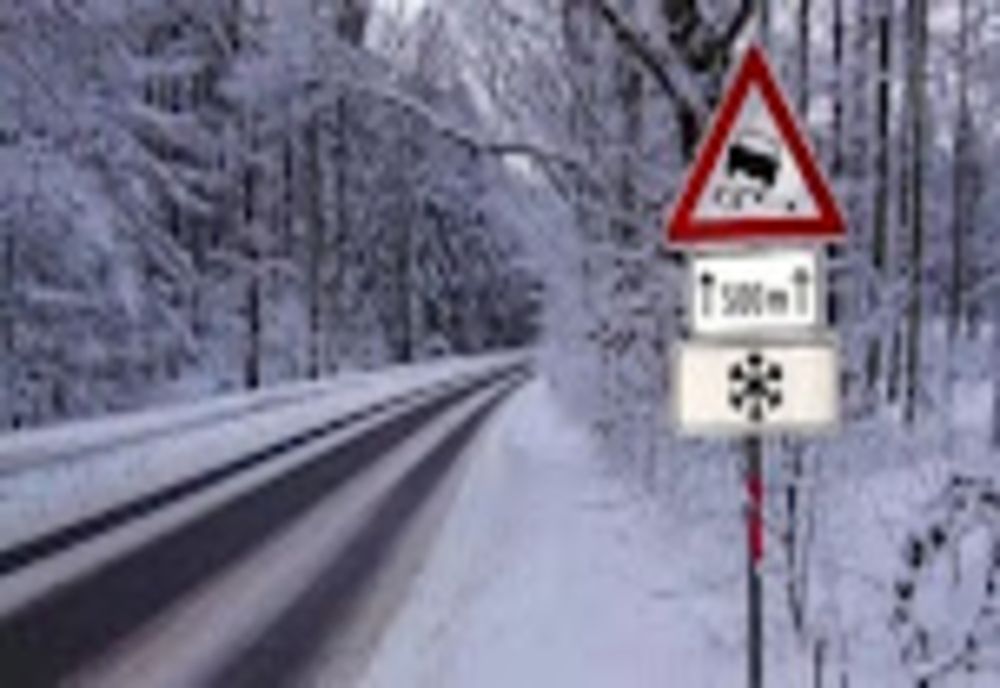 Ninsori în mai multe zone ale țării