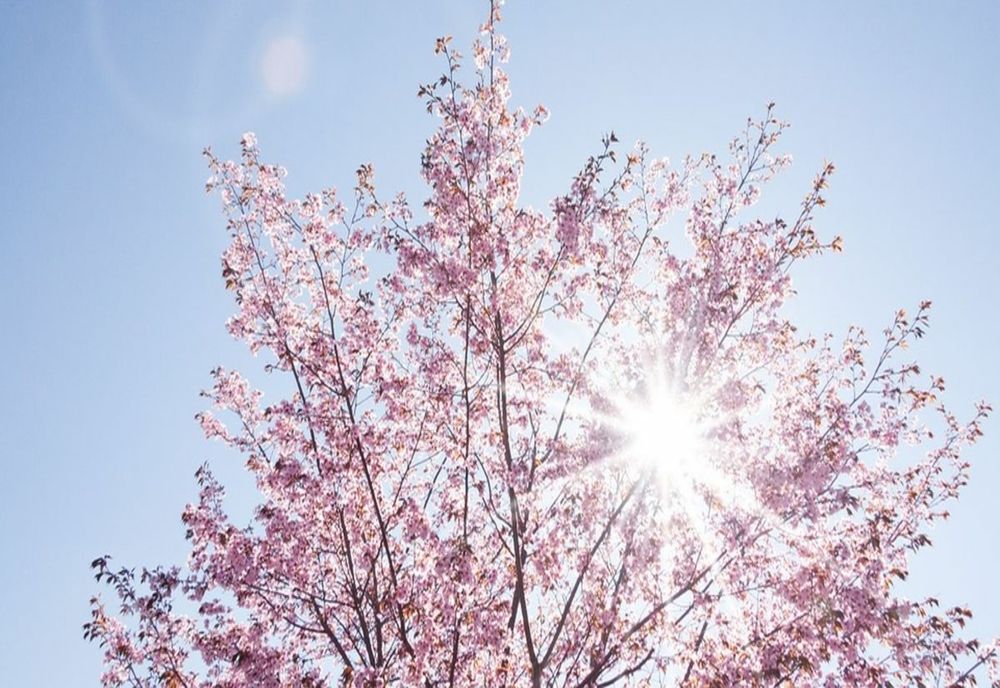 Unde sunt anunțate ploi astăzi. Care sunt temperaturile zilei