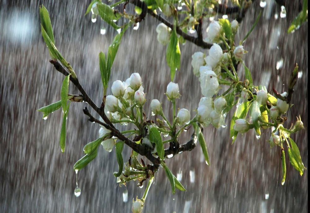 Vremea se menține deosebit de caldă, dar încep ploile