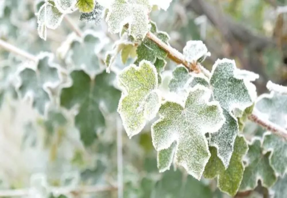 VREMEA 7 APRILIE. TEMPERATURI SCĂZUTE ÎN TOATĂ ȚARA