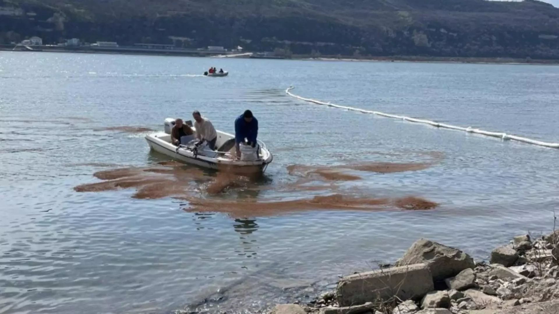 Echipele de intervenții au împărțit substanțe de anihilare