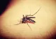 Criza de sânge se agravează în Teleorman, pe fondul infecțiilor cu West-Nile
